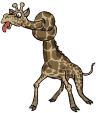 giraffa nodo collo.gif